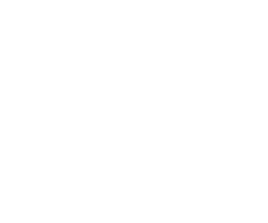 Andrey Rublev Foundation